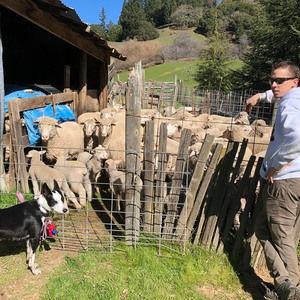 Meet your Posher, Travis